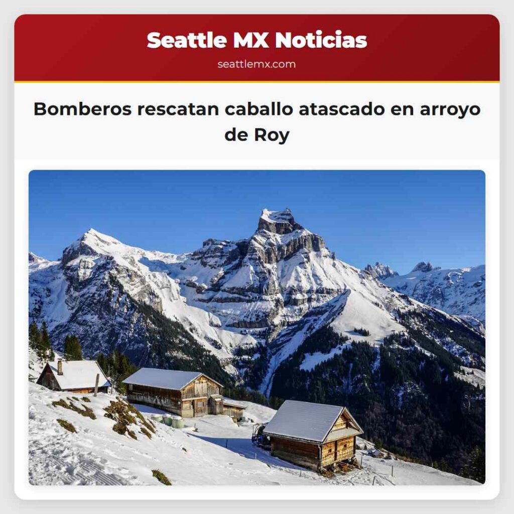 Bomberos rescatan caballo atascado en arroyo de