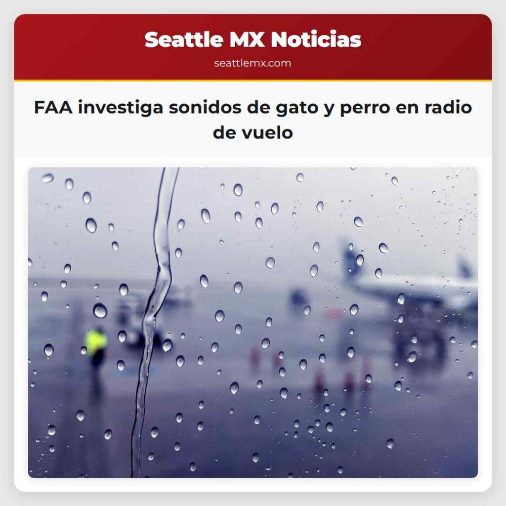 FAA investiga sonidos de gato y perro en radio de