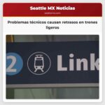 Problemas técnicos causan retrasos en trenes ligeros