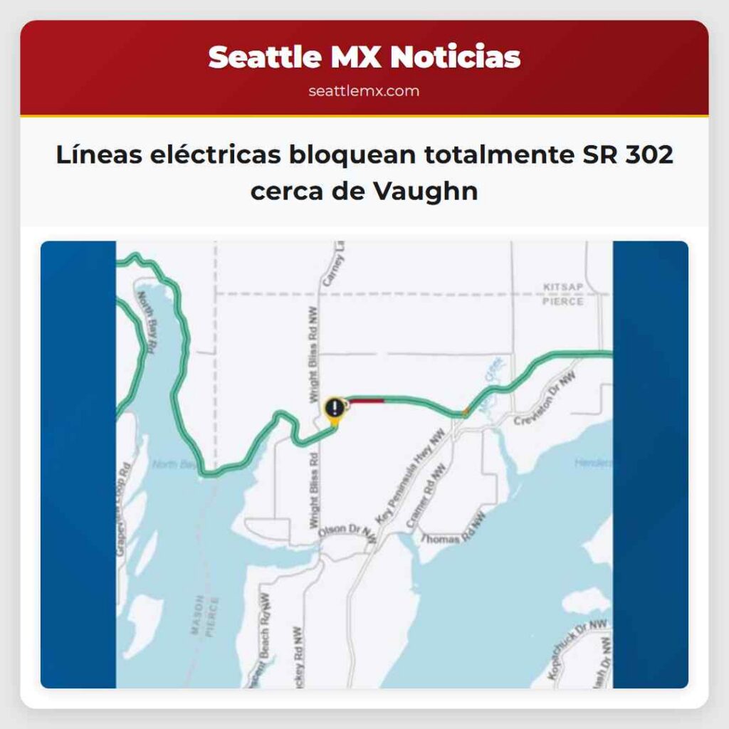 Líneas eléctricas bloquean totalmente SR 302