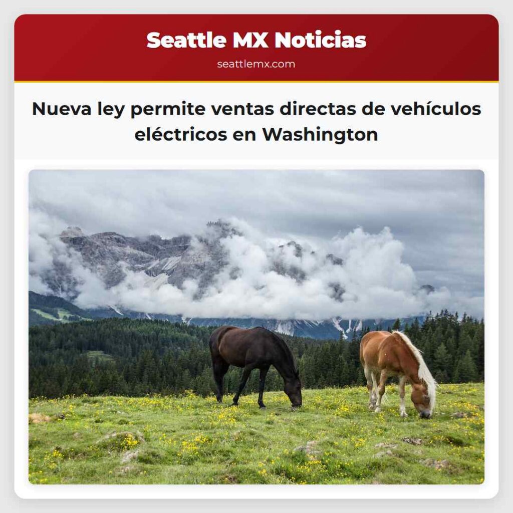 Nueva ley permite ventas directas de vehículos