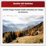25.000 Magic Pocket Staffs retirados por riesgo de lesiones
