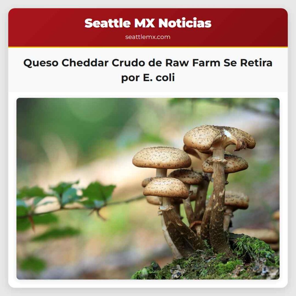 Queso Cheddar Crudo de Raw Farm Se Retira por E.