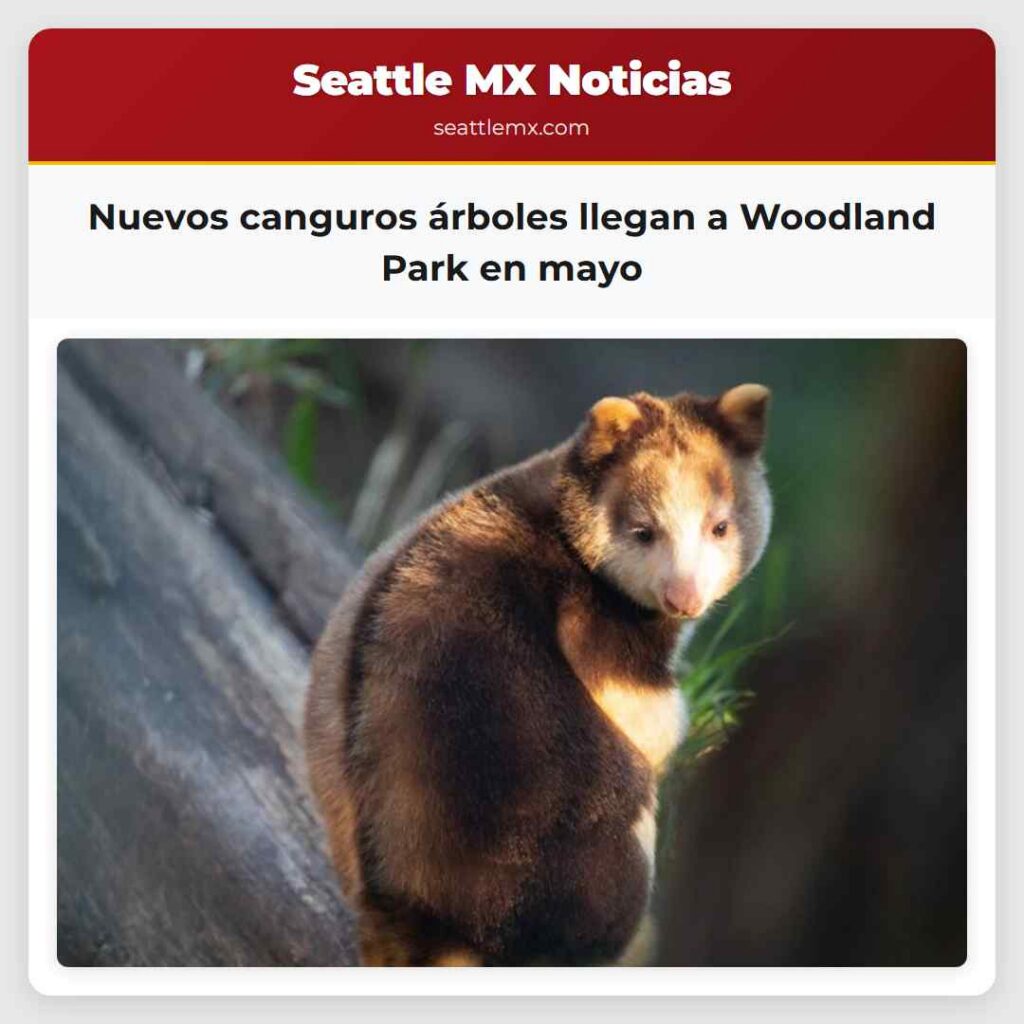 Nuevos canguros árboles llegan a Woodland Park en