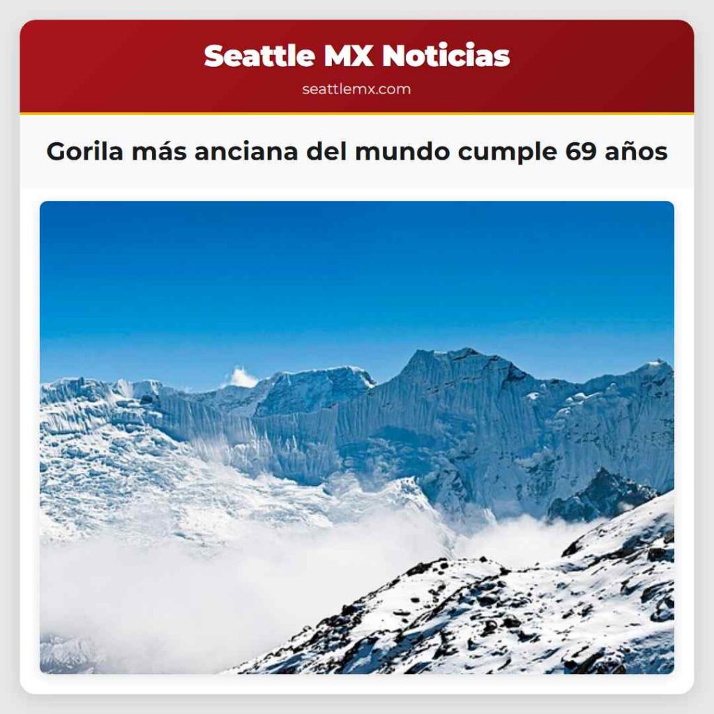 Gorila más anciana del mundo cumple 69 años