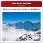 Gorila más anciana del mundo cumple 69 años