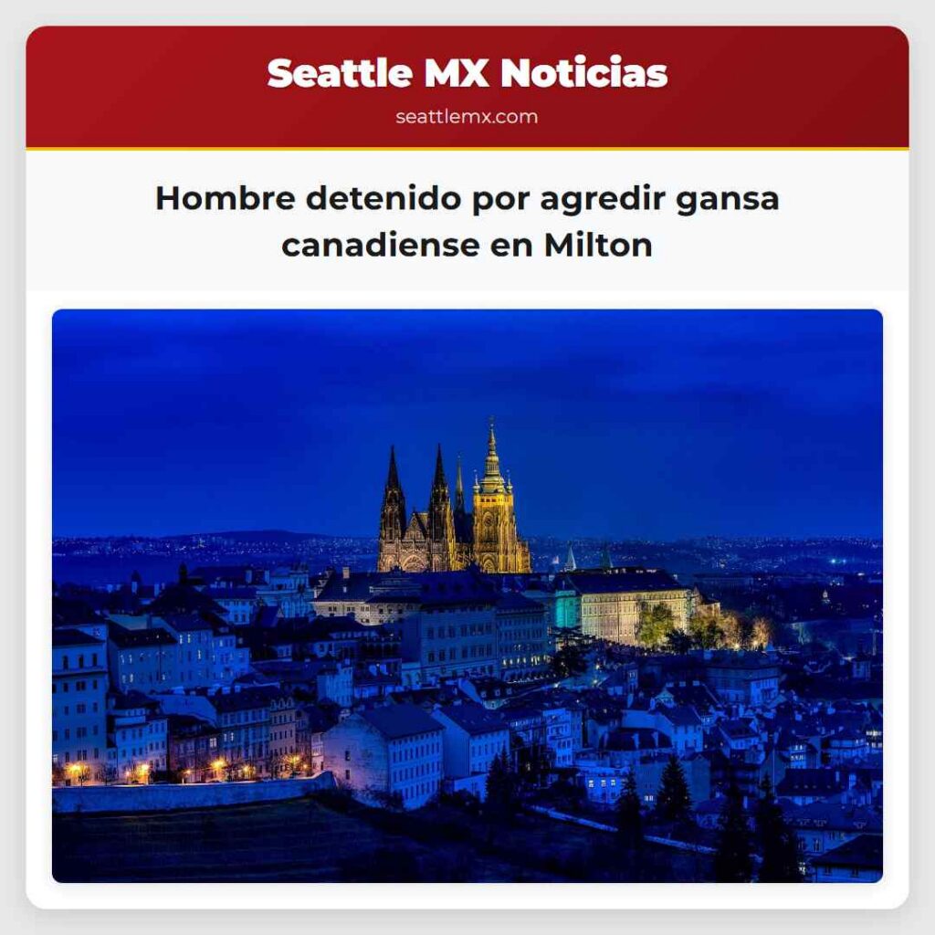 Hombre detenido por agredir gansa canadiense en