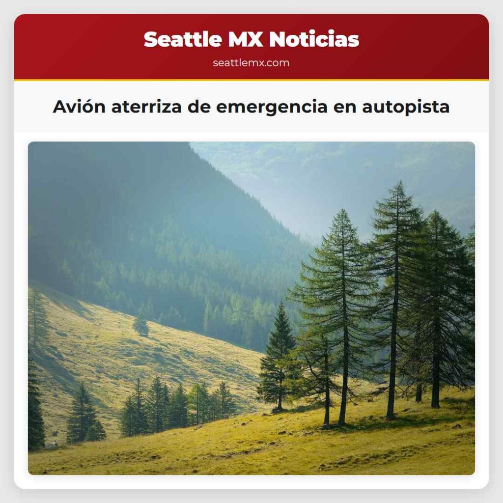 Avión aterriza de emergencia en autopista