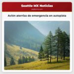 Debe ver Avión aterriza de emergencia en una autopista