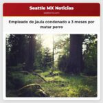 Antiguo Empleado de la Jaula de Ballard Condenado a Tres Meses de Prisión por Matar a un Perro