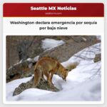 Washington Declara Emergencia por Sequía Estatal tras la Disminución de la Nieve