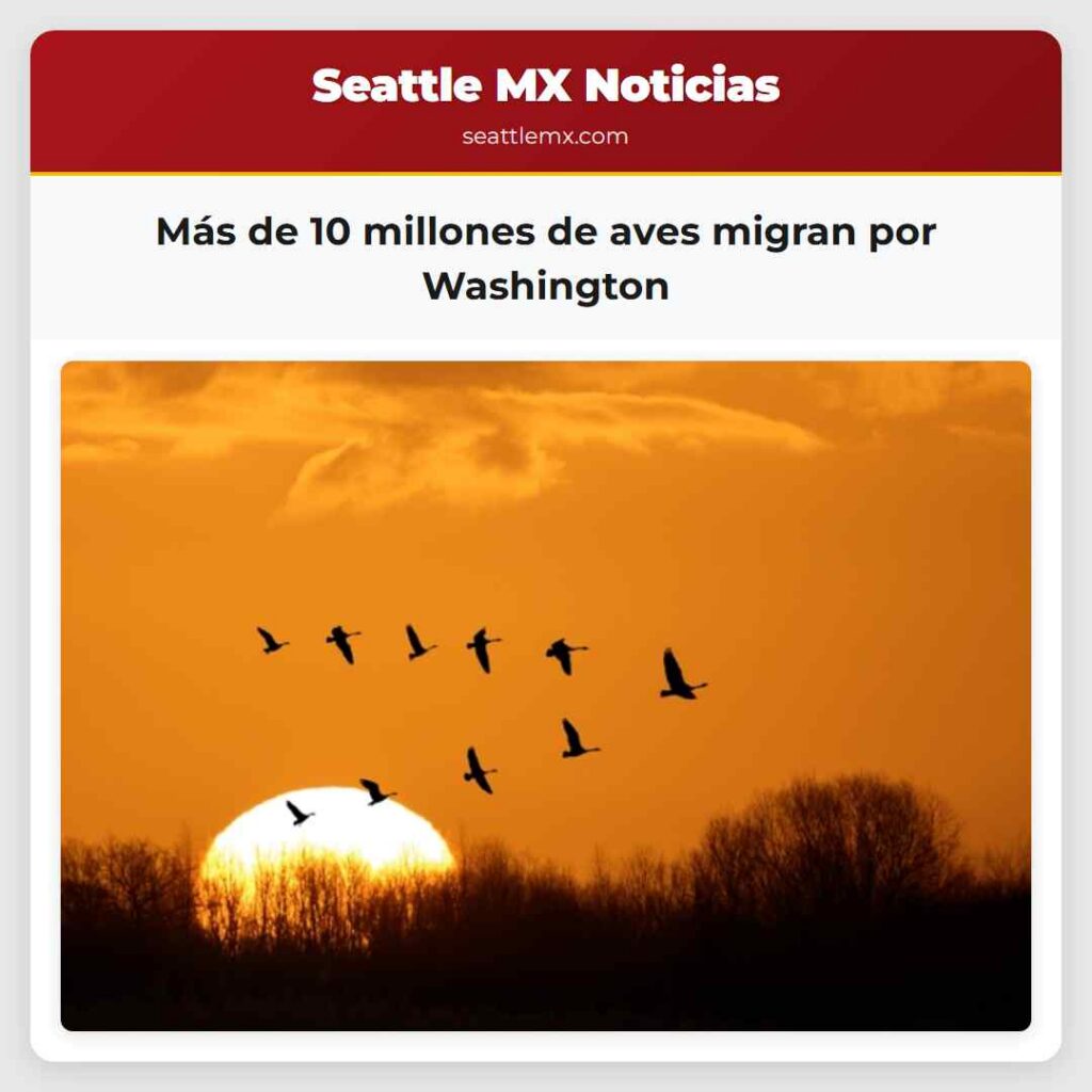 Más de 10 millones de aves migran por Washington