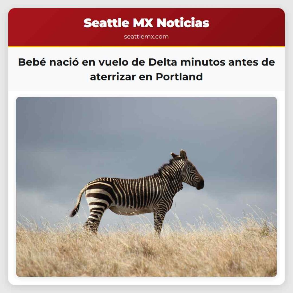 Bebé nació en vuelo de Delta minutos antes de