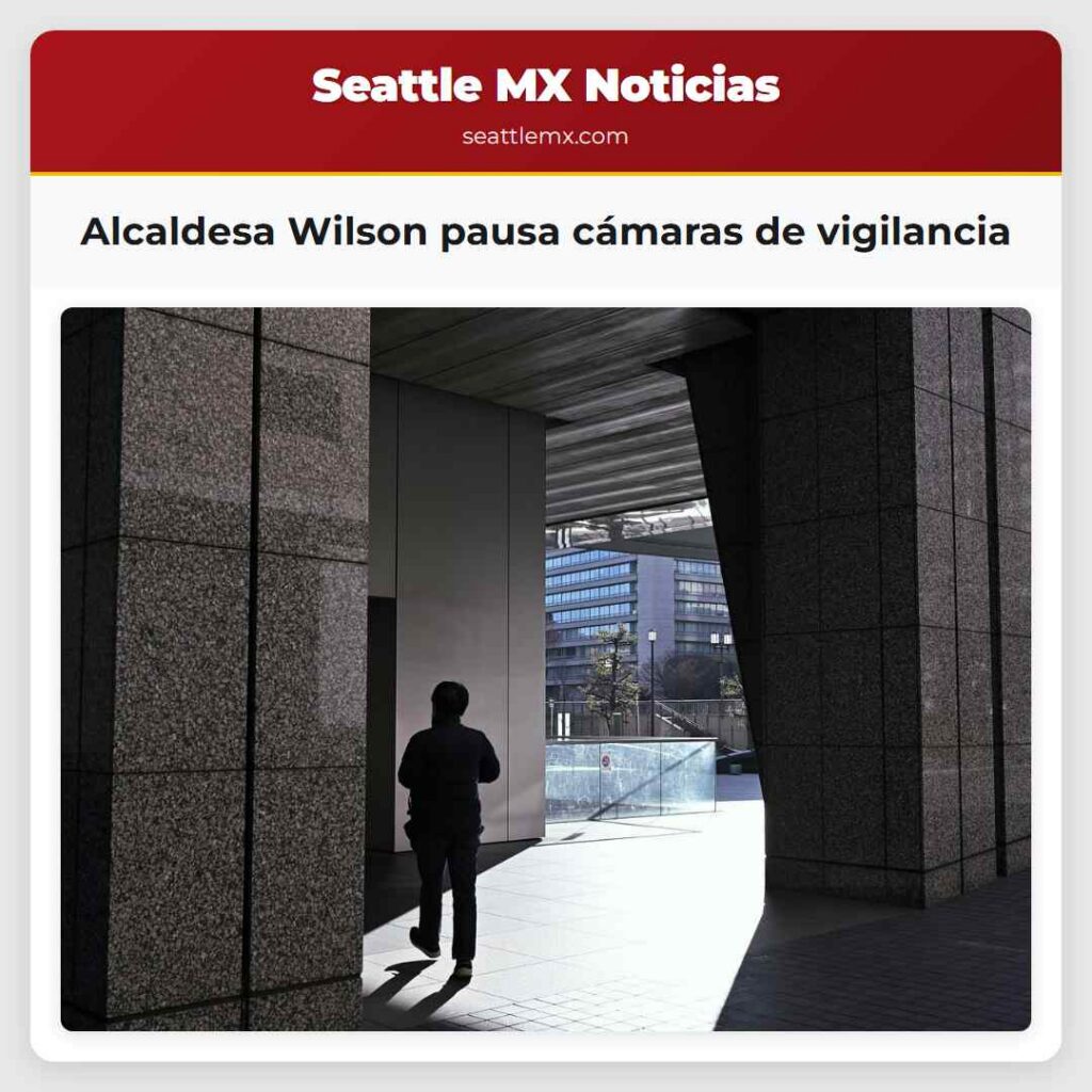 Alcaldesa Wilson pausa cámaras de vigilancia