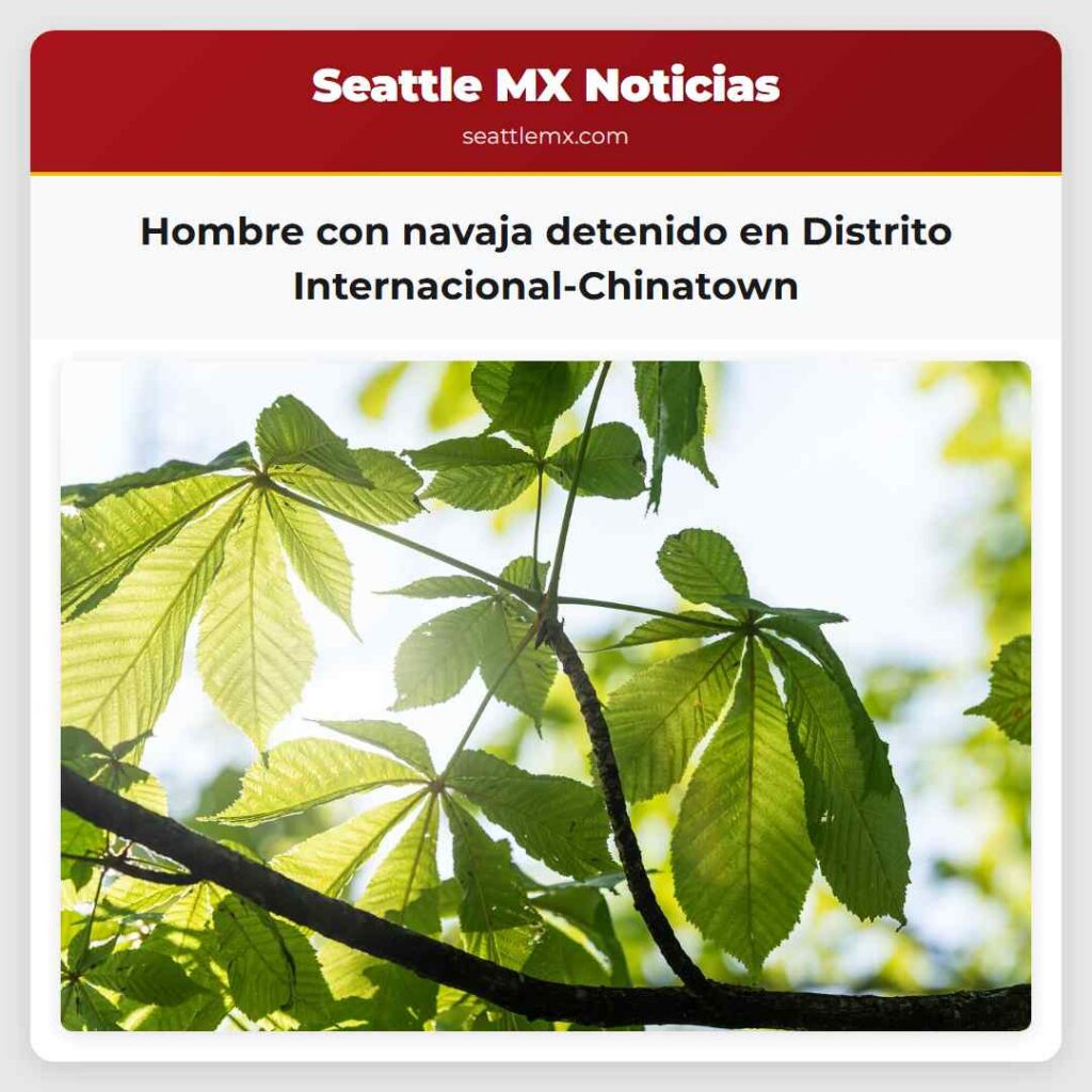 Hombre con navaja detenido en Distrito