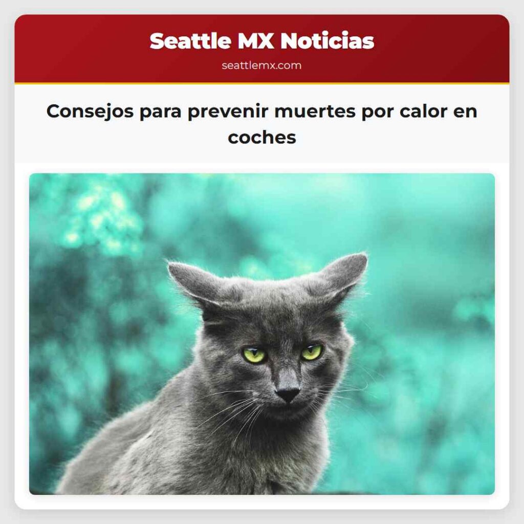 Consejos para prevenir muertes por calor en coches