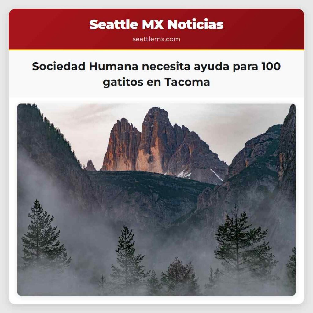 Sociedad Humana necesita ayuda para 100 gatitos