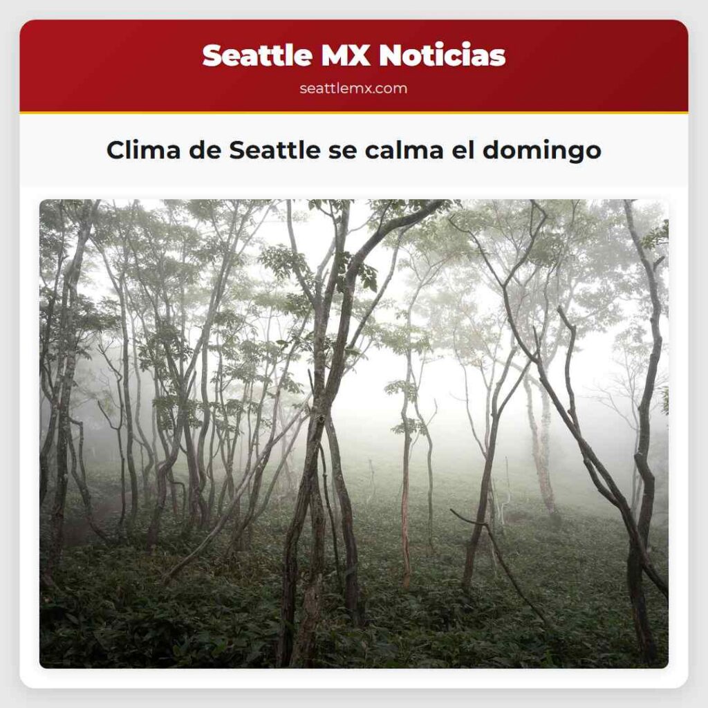 Clima de Seattle se calma el domingo