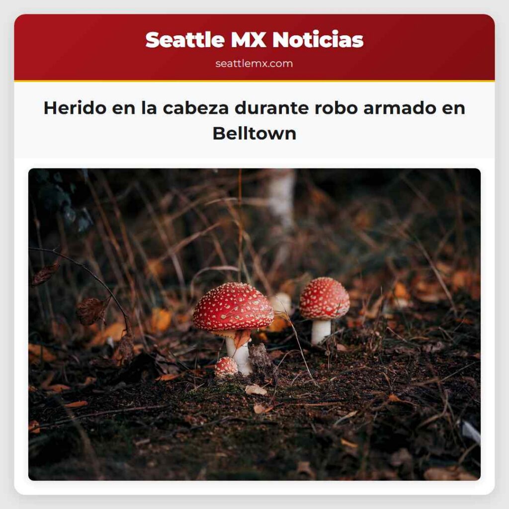 Herido en la cabeza durante robo armado en