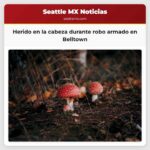 Policía confirma herido en la cabeza durante robo armado en Belltown