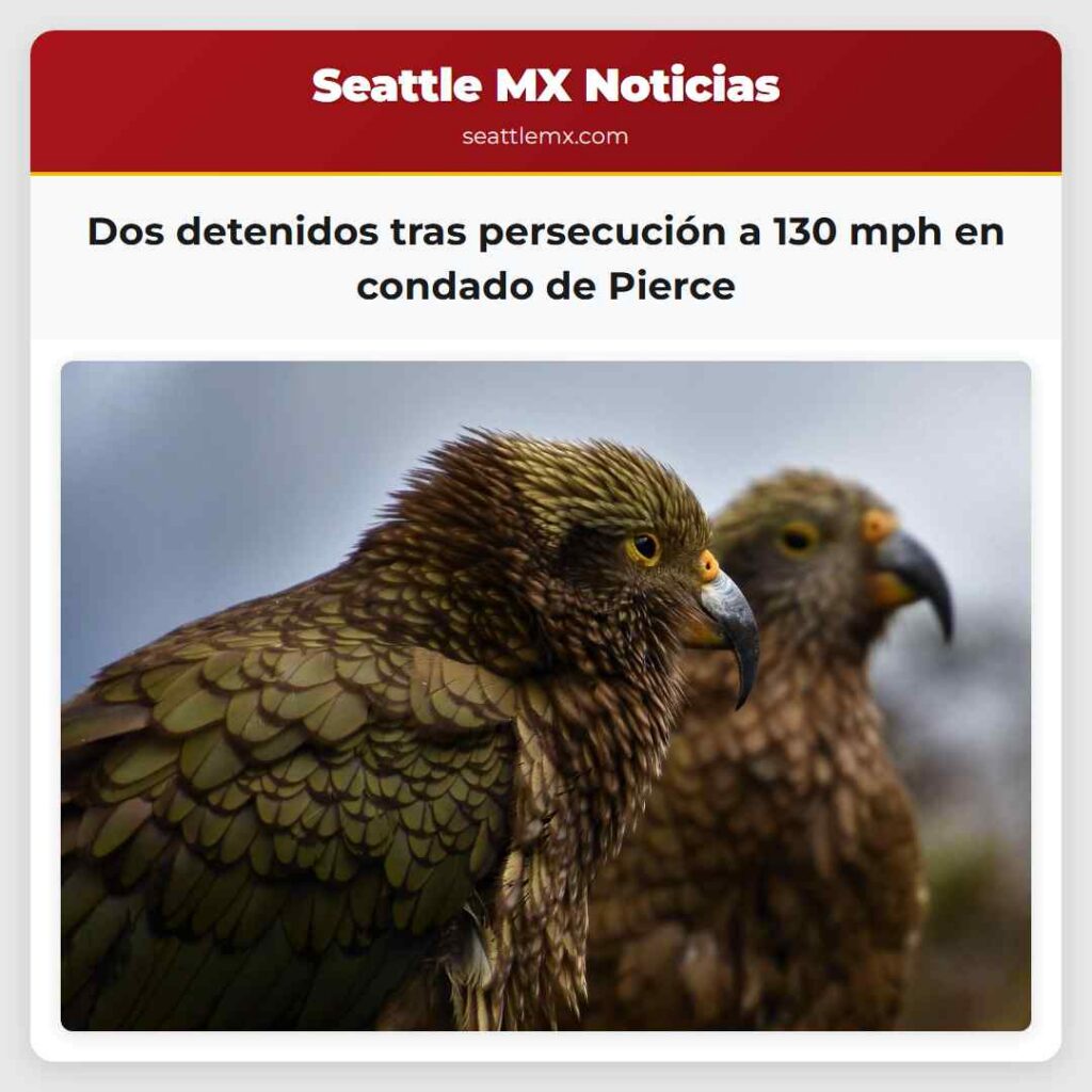 Dos detenidos tras persecución a 130 mph en