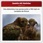 Dos detenidos tras una persecución a 130 mph en la línea del condado de Pierce