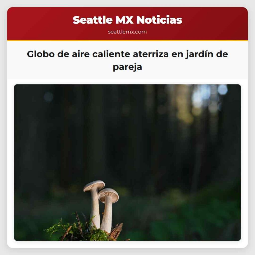 Globo de aire caliente aterriza en jardín de