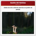 Globo de aire caliente aterriza en jardín de pareja