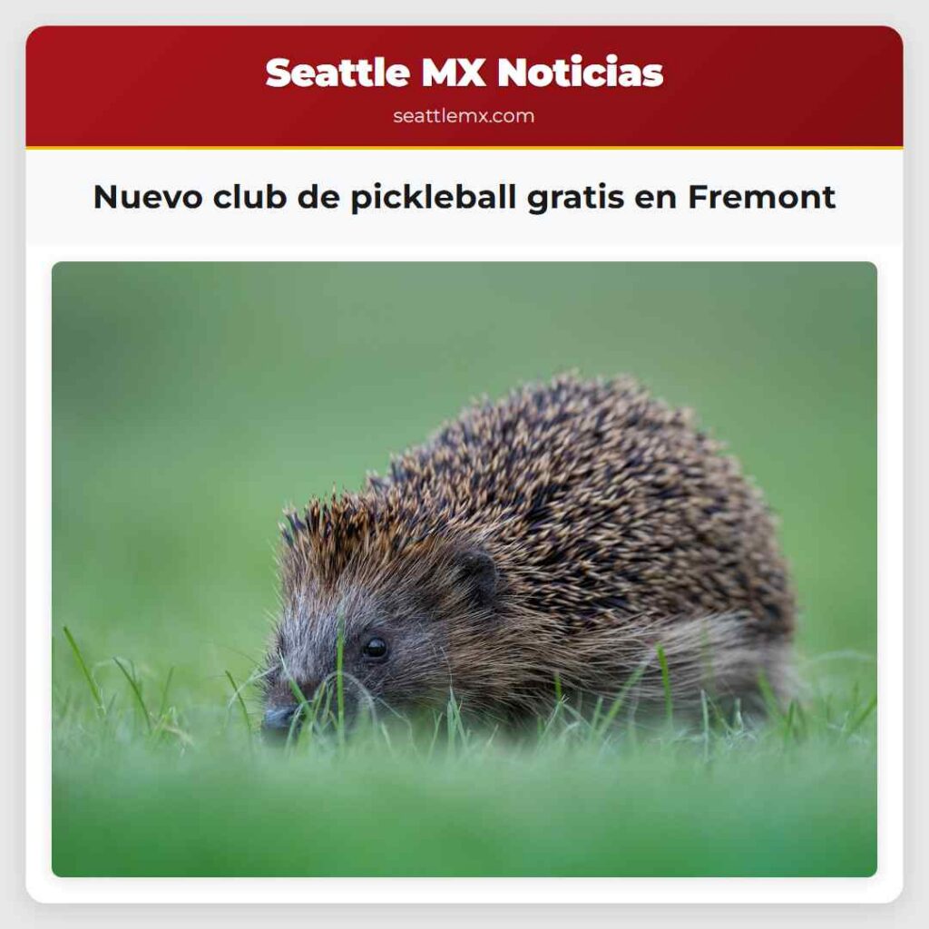 Nuevo club de pickleball gratis en Fremont