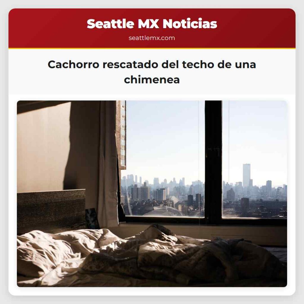 Cachorro rescatado del techo de una chimenea