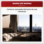 Un cachorro rescatado del techo de una chimenea en una casa abandonada