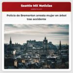 Una mujer con orden de arresto se esconde en un árbol policía de Bremerton roba coche para despejar vía