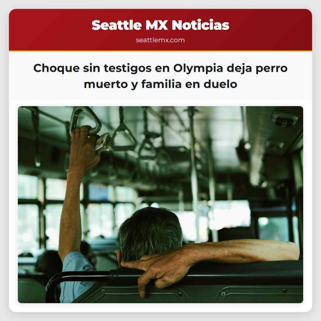 Choque sin testigos en Olympia deja perro muerto