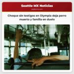 Choque sin testigos en Olympia deja perro muerto y familia en duelo