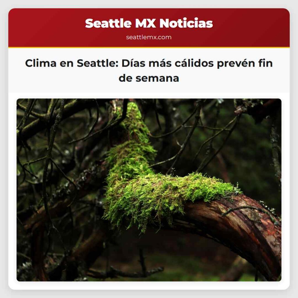 Clima en Seattle: Días más cálidos prevén fin de