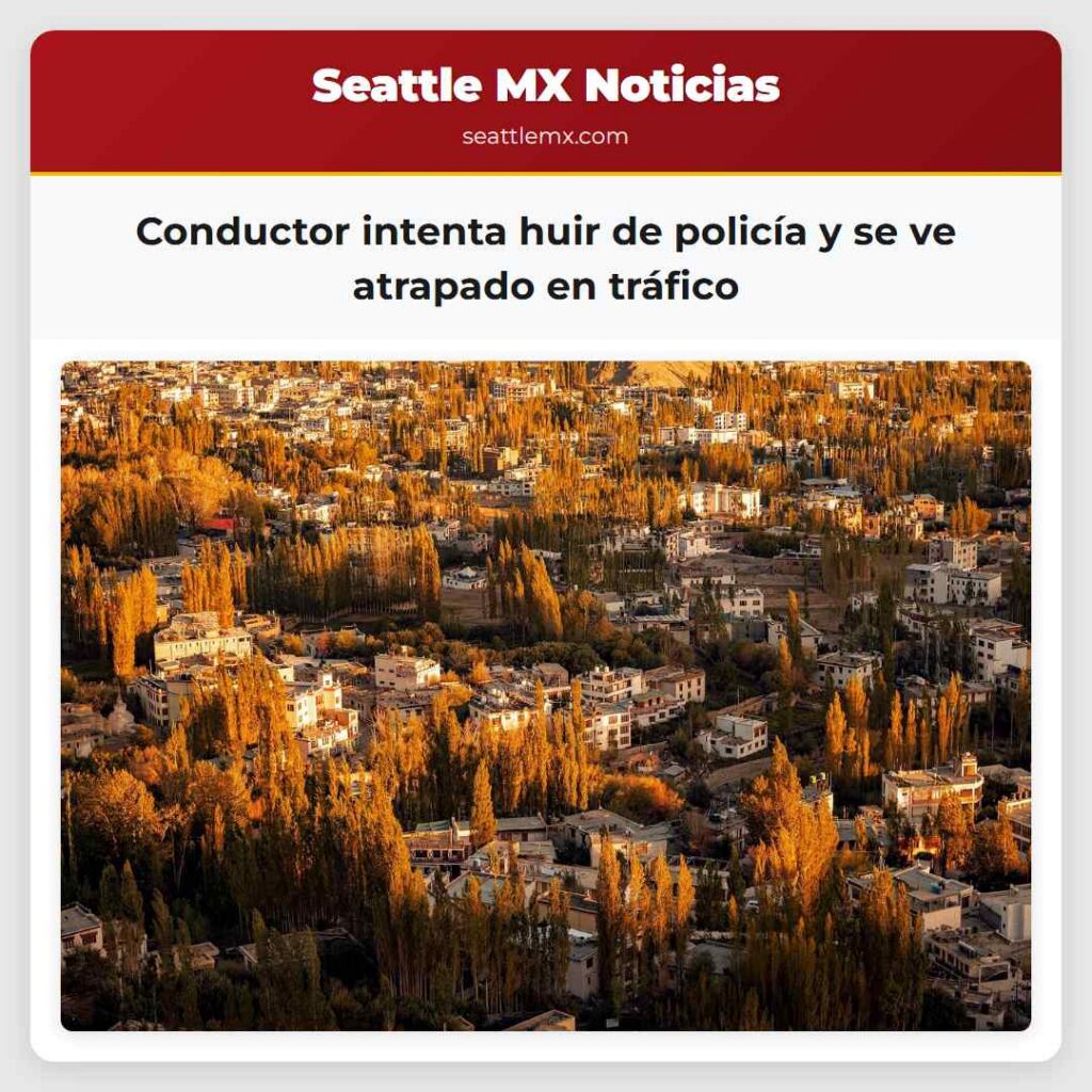 Conductor intenta huir de policía y se ve