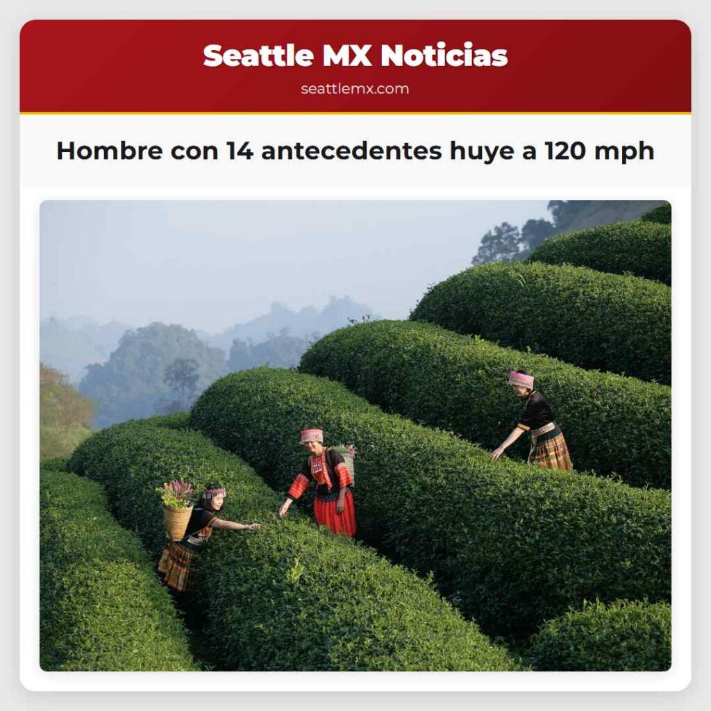 Hombre con 14 antecedentes huye a 120 mph