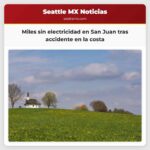 Miles sin electricidad en San Juan tras accidente en la costa