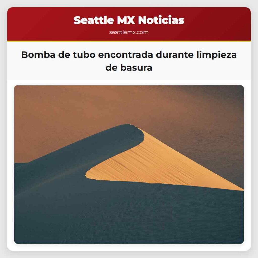 Bomba de tubo encontrada durante limpieza de