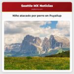 Captado en cámara Niño atacado por un perro mientras pedaleaba en Puyallup