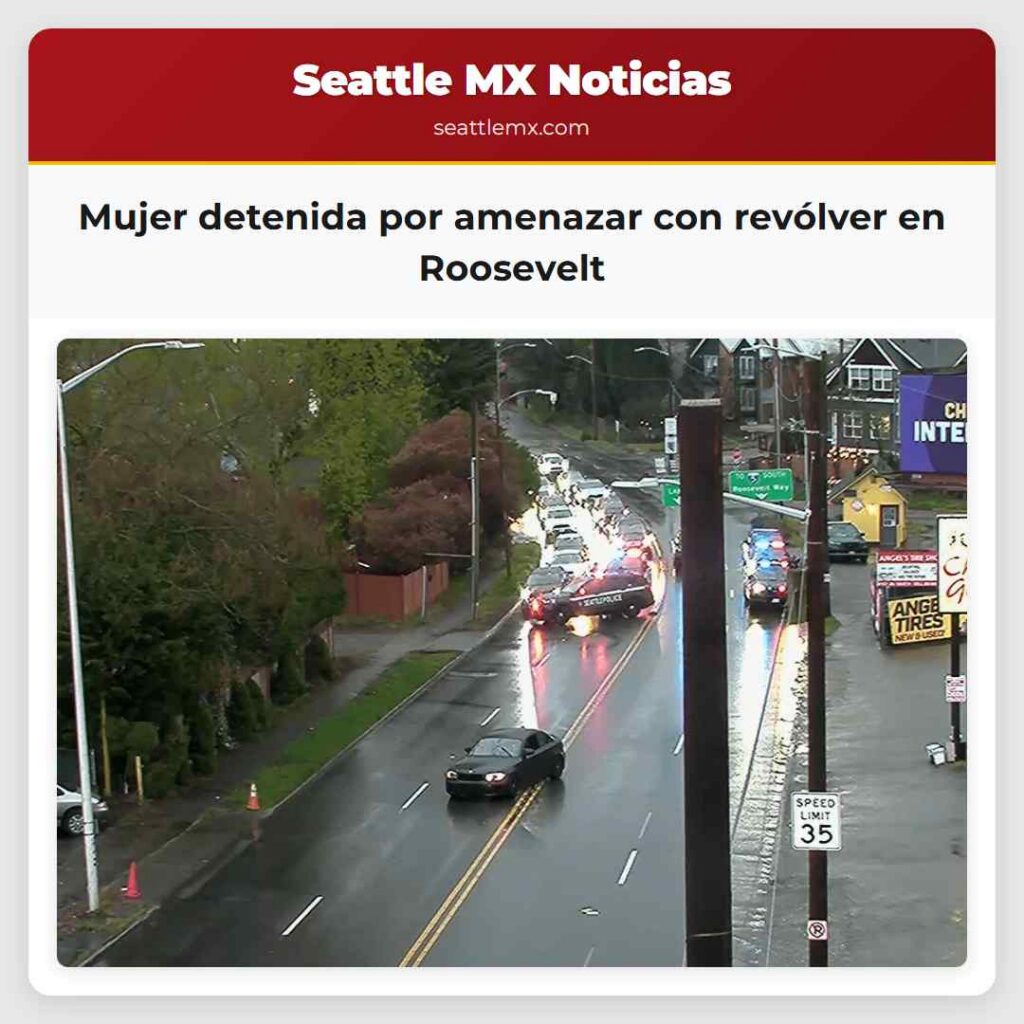 Mujer detenida por amenazar con revólver en