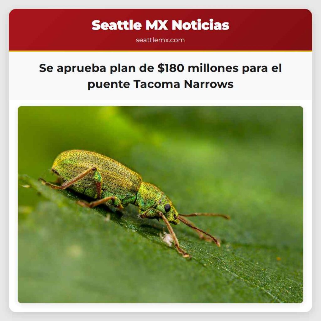 Se aprueba plan de $180 millones para el puente