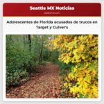 Adolescentes de Florida acusados de trucos en Target y Culvers