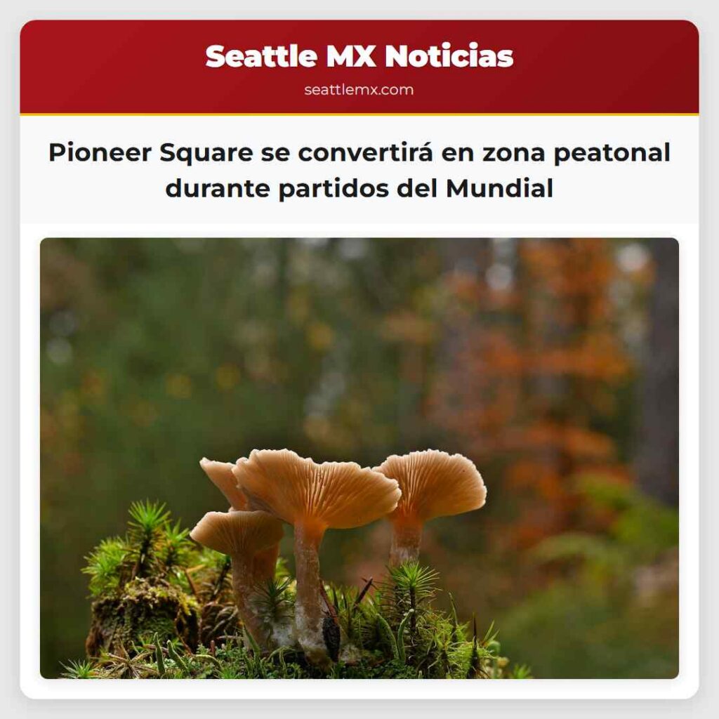 Pioneer Square se convertirá en zona peatonal