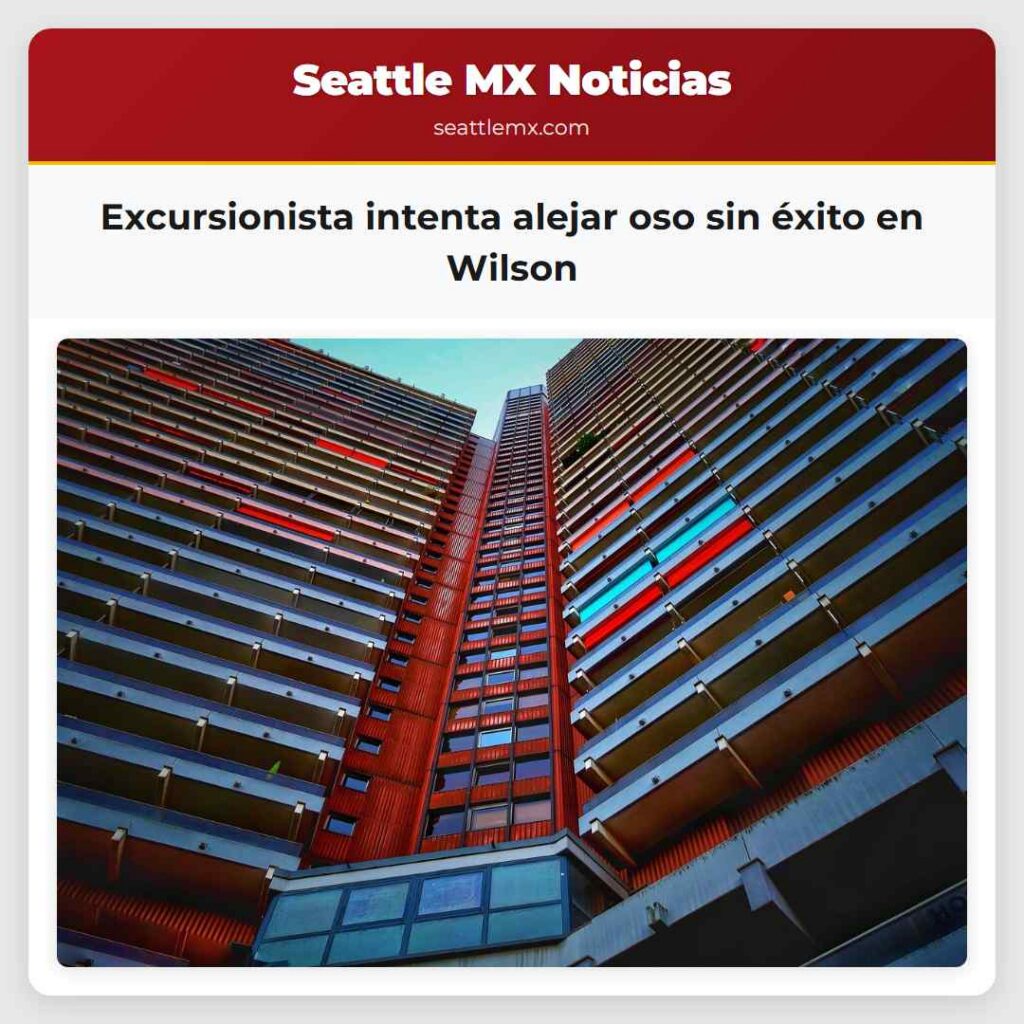 Excursionista intenta alejar oso sin éxito en