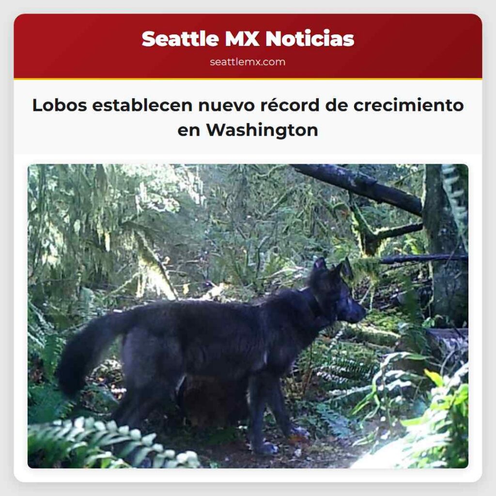 Lobos establecen nuevo récord de crecimiento en