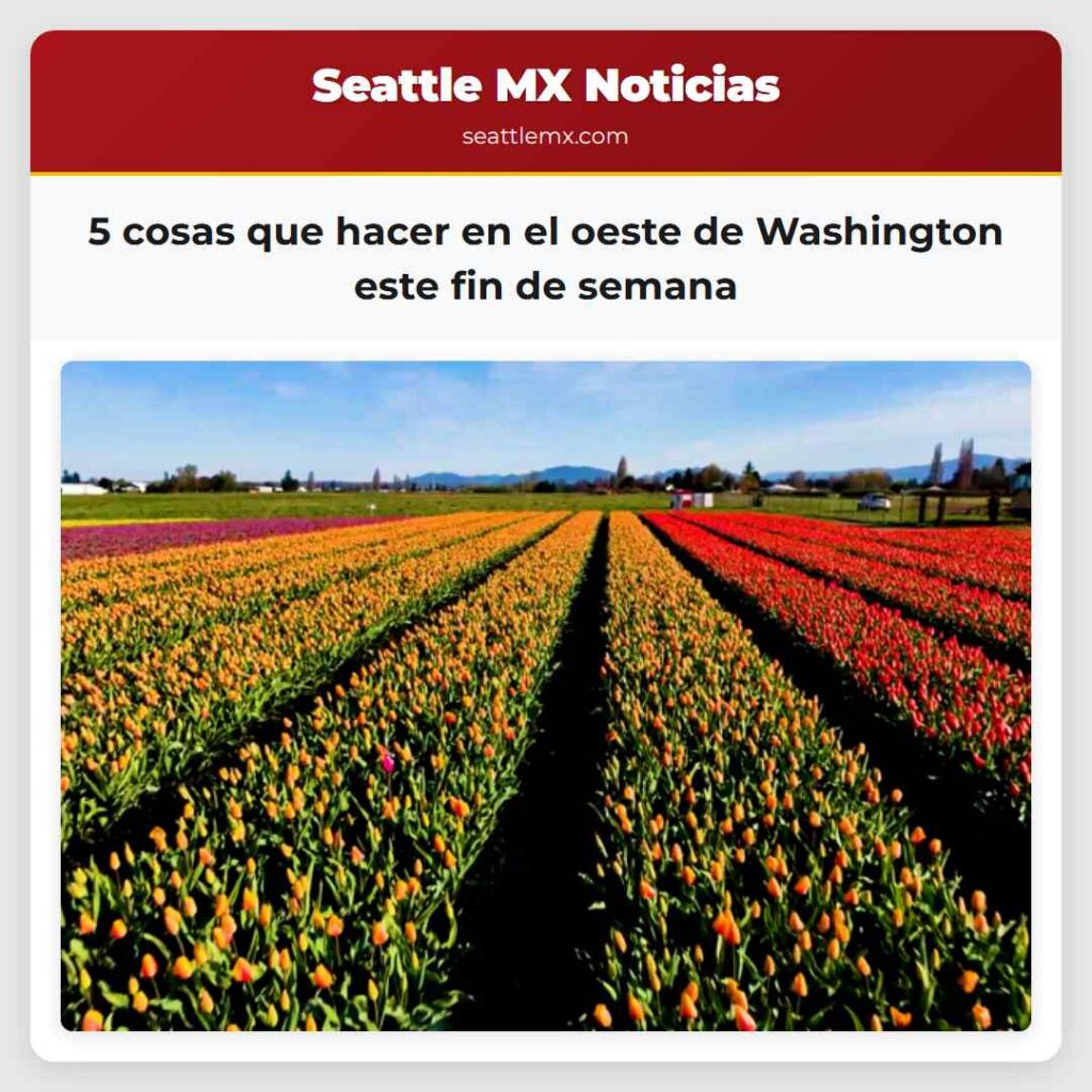 5 cosas que hacer en el oeste de Washington este