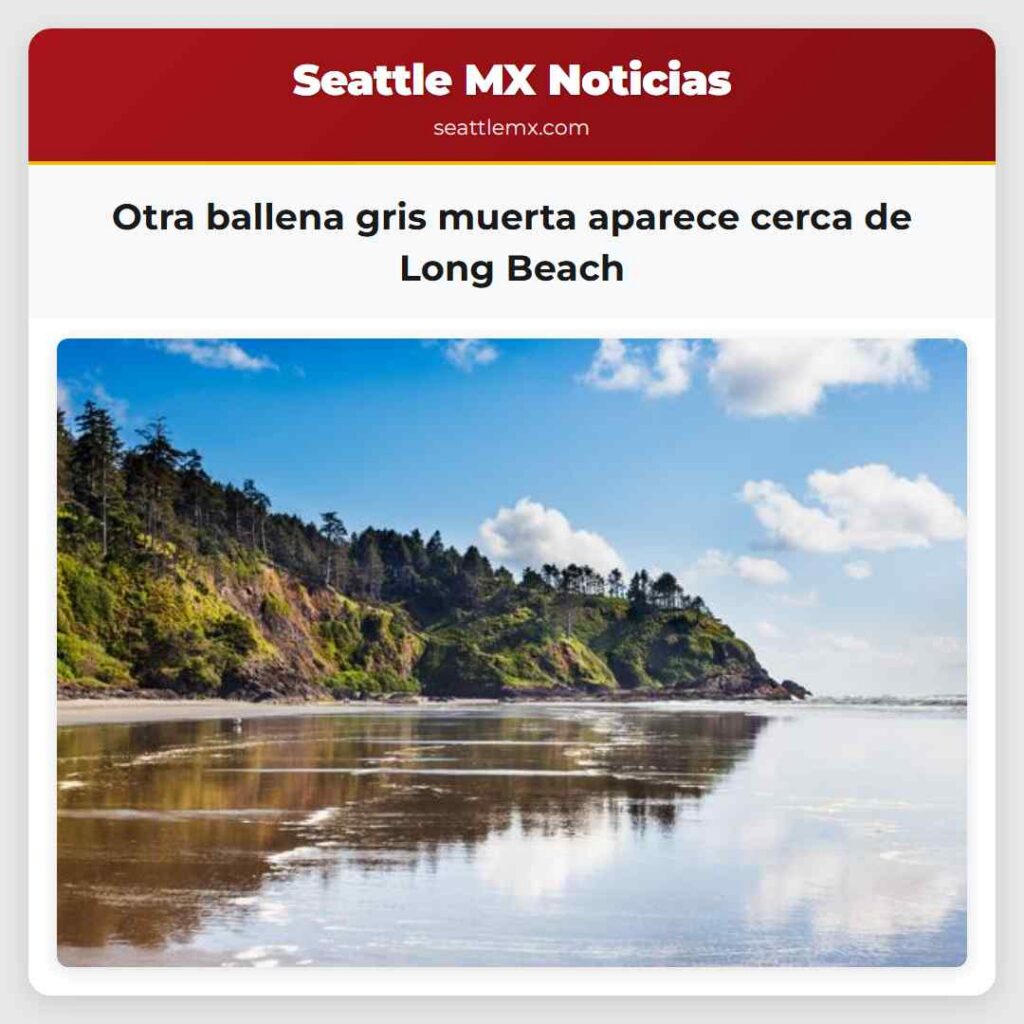 Otra ballena gris muerta aparece cerca de Long