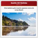 Otra ballena gris muerta aparece cerca de Long Beach