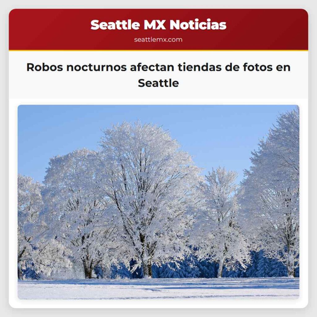 Robos nocturnos afectan tiendas de fotos en